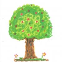Dessin de l'arbre