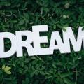 Dream
